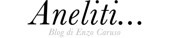 Logo Enzo Caruso - Aneliti...